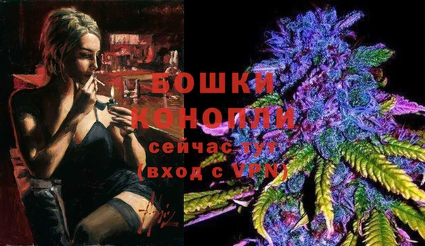 Альфа ПВП Вяземский