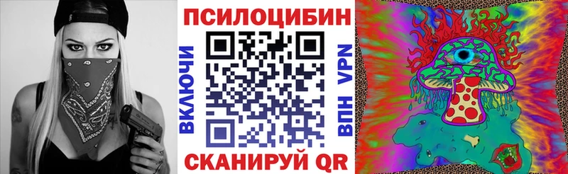 дарк нет Telegram  Кондопога  Галлюциногенные грибы Psilocybine cubensis 